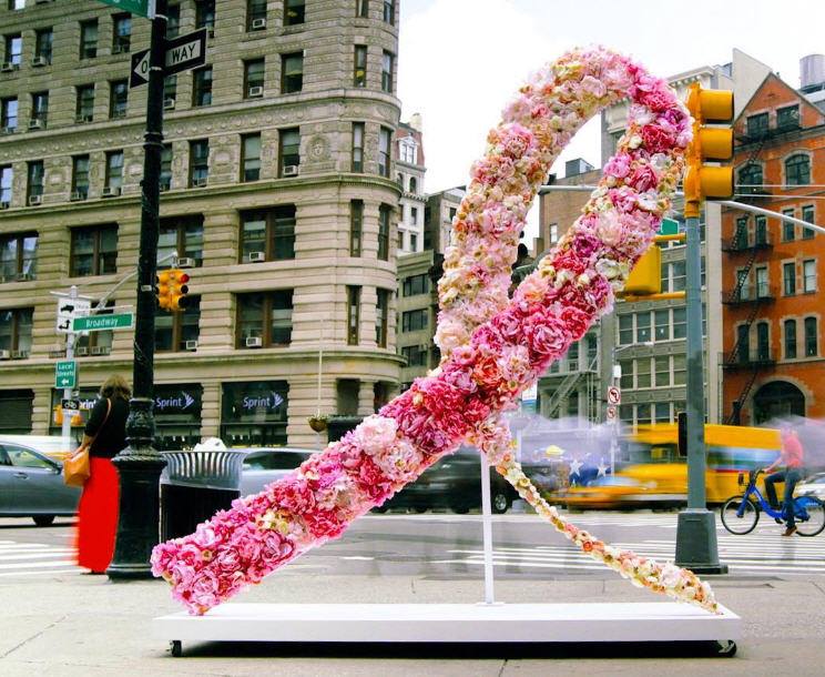 20246206_1755828354446340_6266105238283673665_n