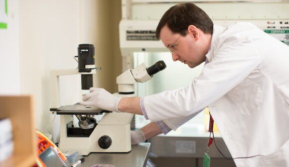 BCRF_DanaFarber_56_4062