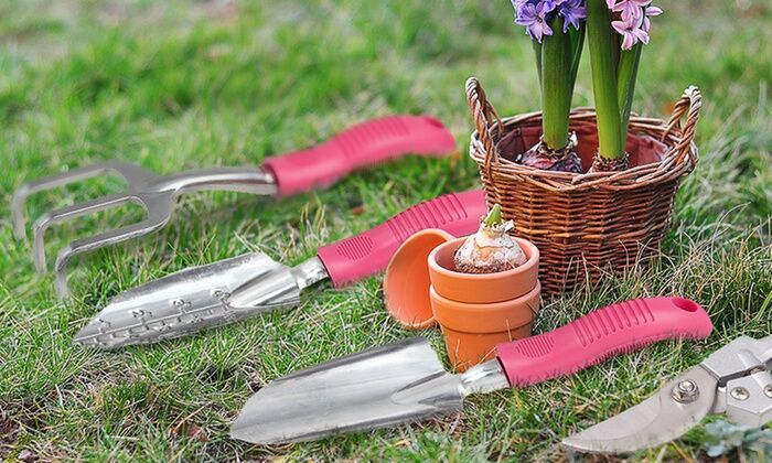 BLOG FLAGSHIP IMAGE||||