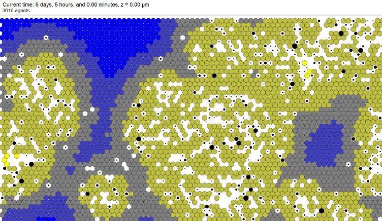A screengrab from PhysiCell software showing covid-19 cells in bright colors