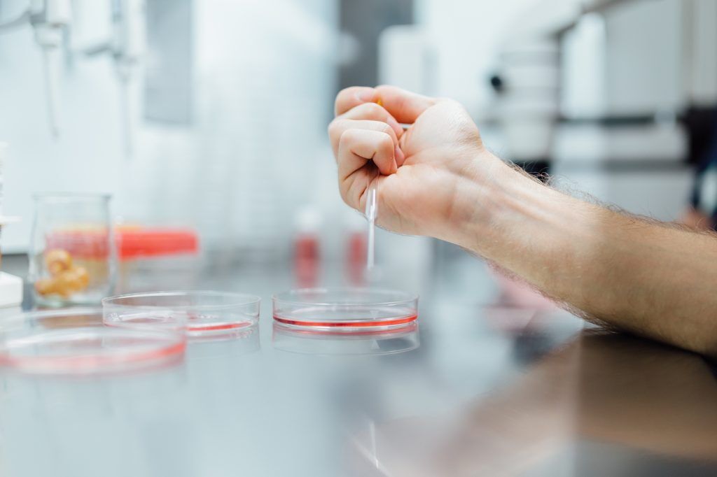 Stocksy_txp423b7e92TMA100_Medium_997584|