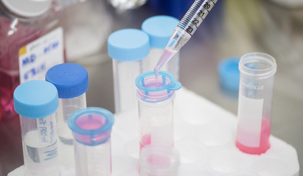 Test tubes in a research lab