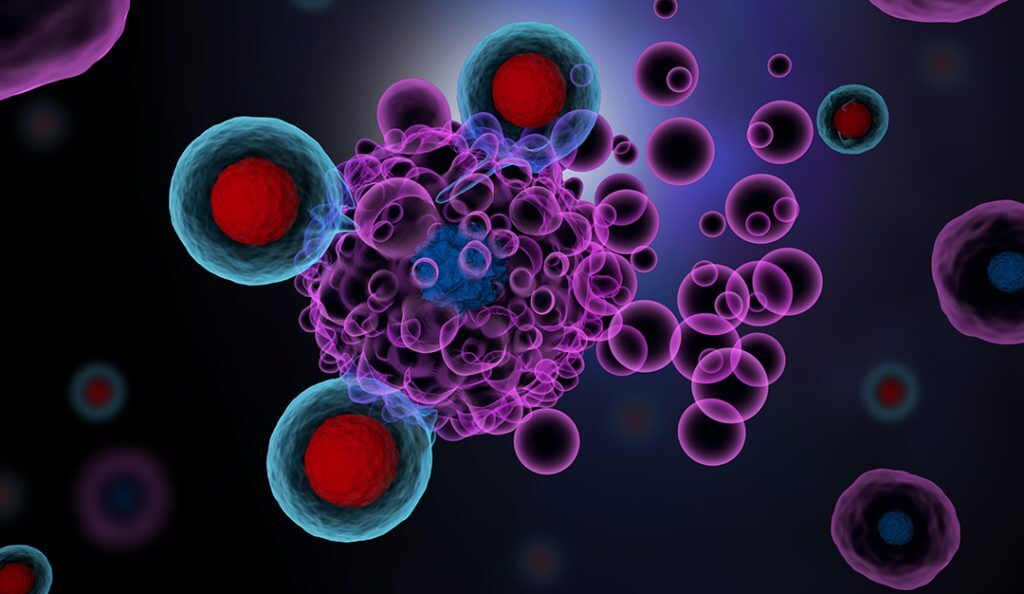 A rendering of T-cells attacking cancer cells