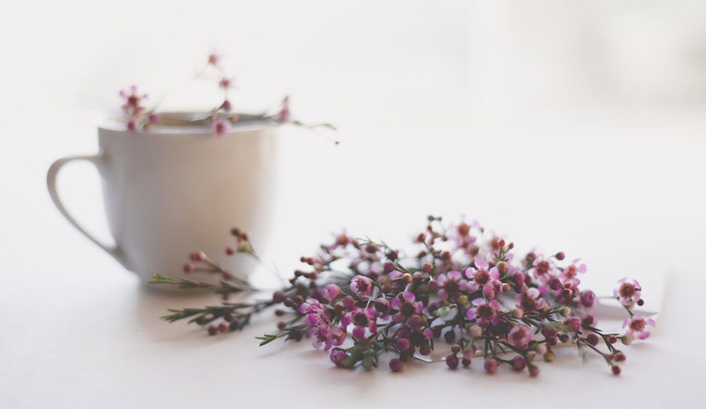 a cup of tea and bunch of pink flowers on a white table|Ann Taylor Floral Ruffle Pajama Set to support Breast Cancer Research Foundation