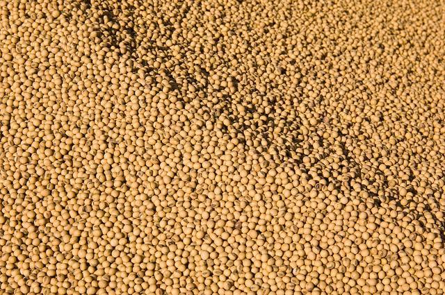 10140178515_e2e4a22771_z