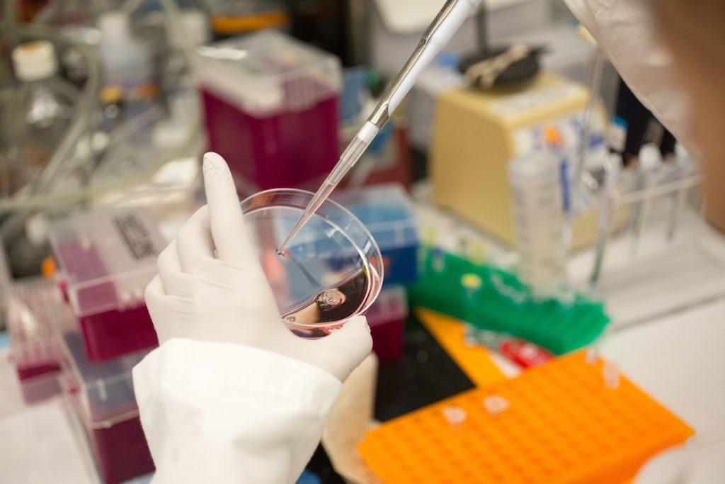 Hands doing lab work