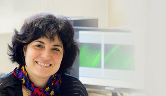 Large Researcher Headshot - Levy Lahad