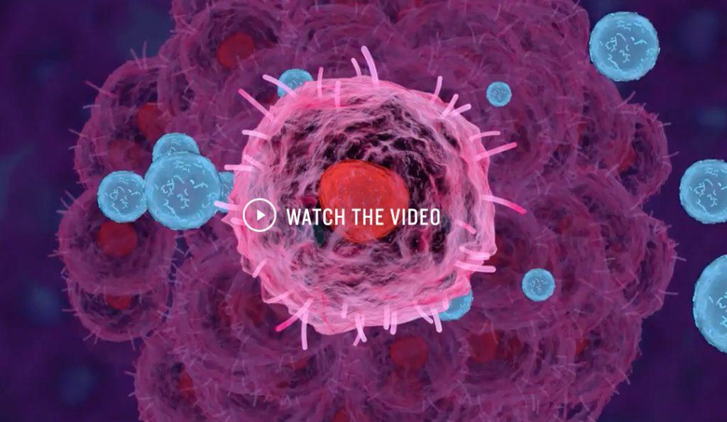 blog-post-immunotherapy