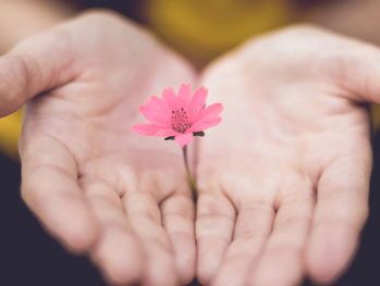 flower-in-hand