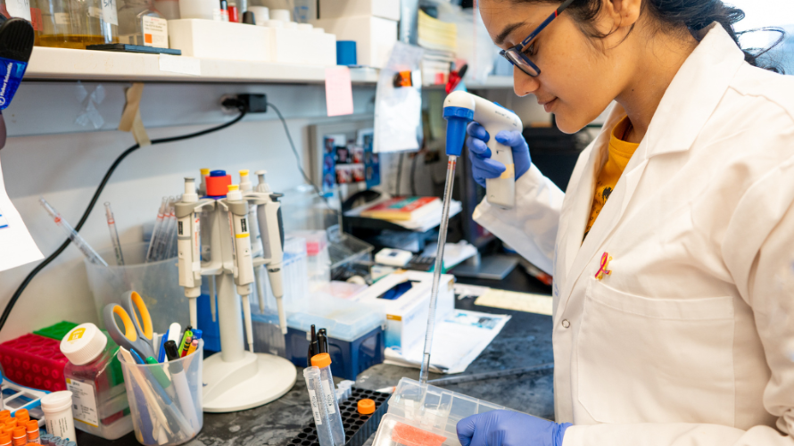 a researcher works in a bcrf-supported lab
