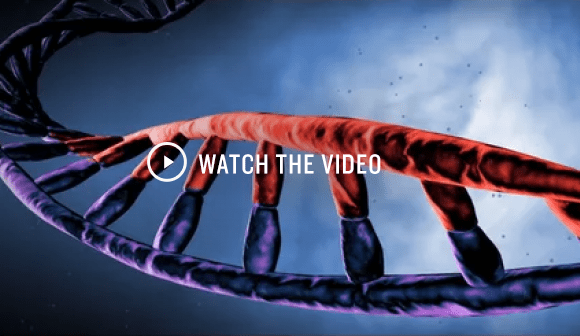 NationalAdvance-Liquid-Biopsies|s18qlvEV0gjSjZ9QPVU0SY_RCIw6bHMuwn5j5NY0R0Y